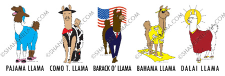 Llama Tshirts